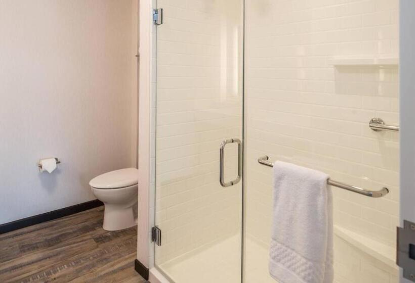 带2个卧室的套房, Residence Inn By Marriott Pittsburgh Oakland/university Place
