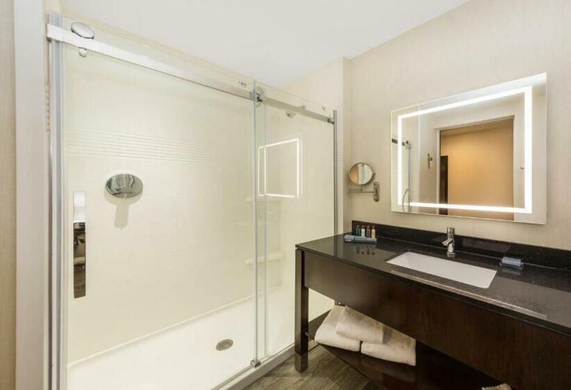 חדר סטנדרט עם מיטת קינג, Wingate By Wyndham Miami Airport