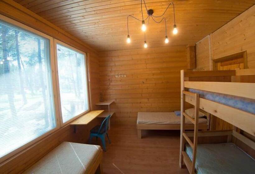 共用房间的床, Friday Wood Hostel