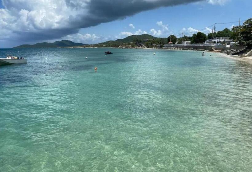 آپارتمان 1 خوابه, Apartamentos En Viques Puerto Rico
