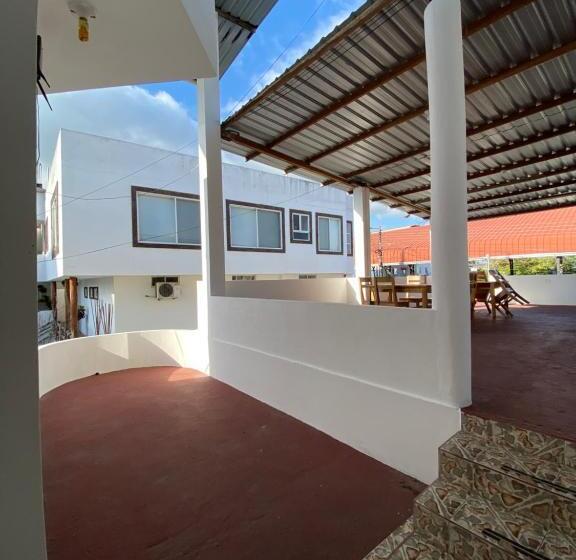 Номер Стандарт с Террасой, Hostal El Paraíso
