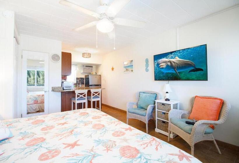 スタンダードスタジオ, Tropic Terrace Suite #31   Beachfront Resort