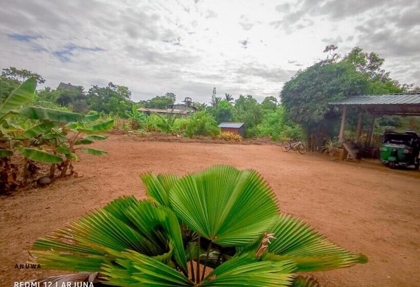 Номер Стандарт Трехместный, Travels First Sigiriya Hostel