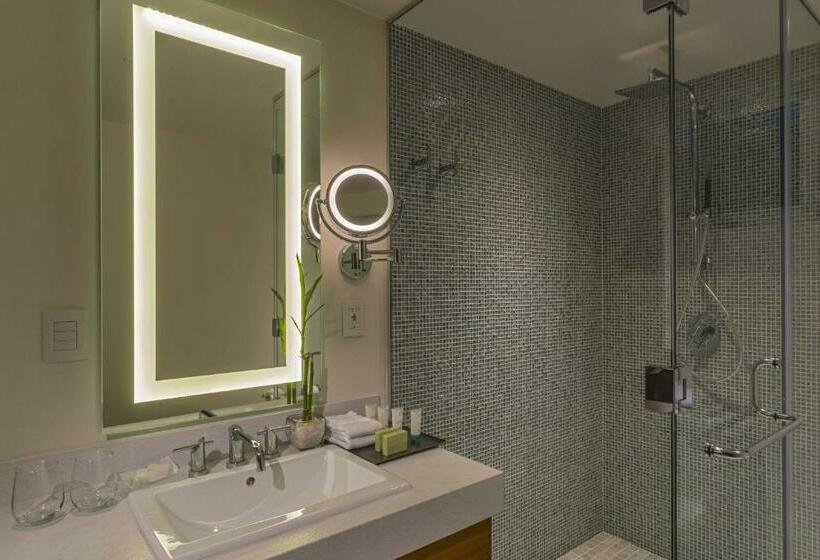 Standard Studio King Bed, The Westin Cozumel