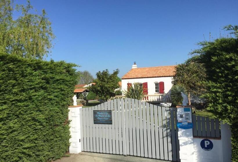 Номер Стандарт, Studio Charleston