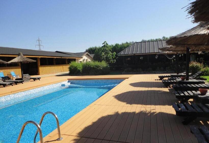 اتاق استاندارد, Greenstone Land   Corbu
