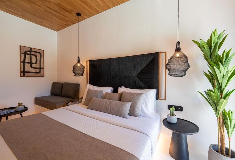 Полулюкс с Бассейном, Ftelia Black Villas