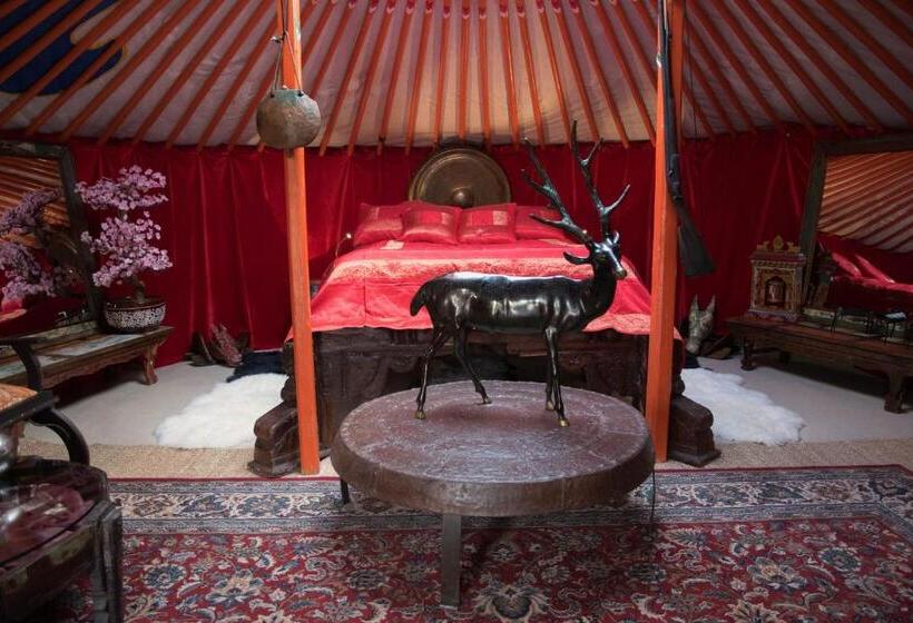 اتاق خانوادگی, Crazy Lounge B&b