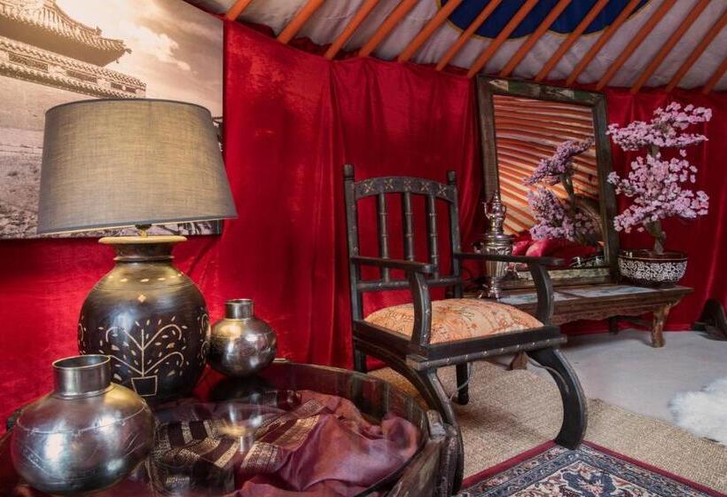 اتاق خانوادگی, Crazy Lounge B&b