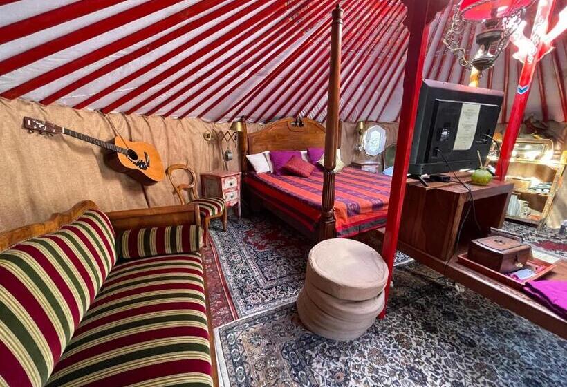 Lüks Aile Odası, Crazy Lounge B&b
