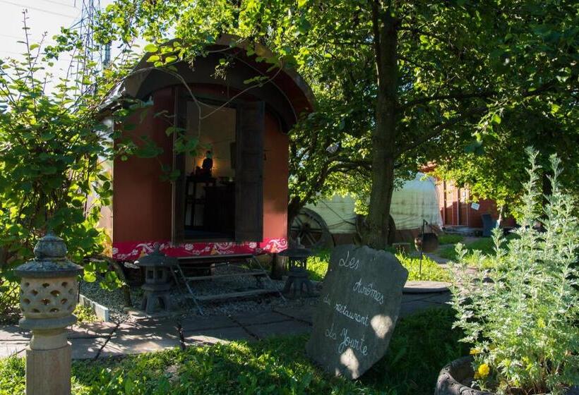 اتاق استاندارد, Crazy Lounge B&b