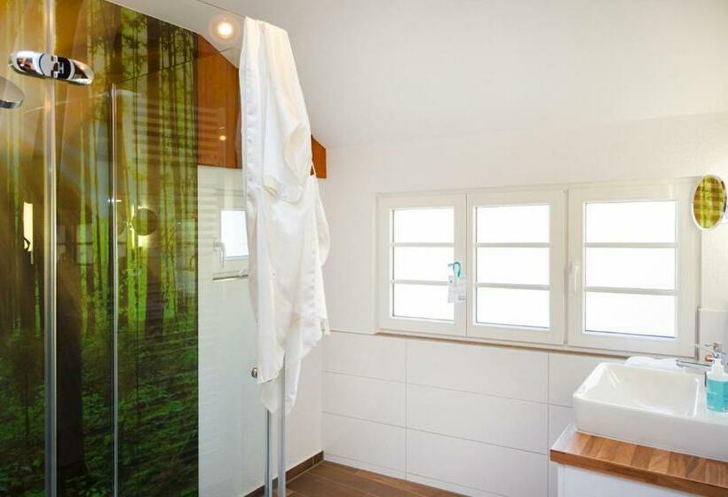 اتاق استاندارد یک نفره, Alte Schule