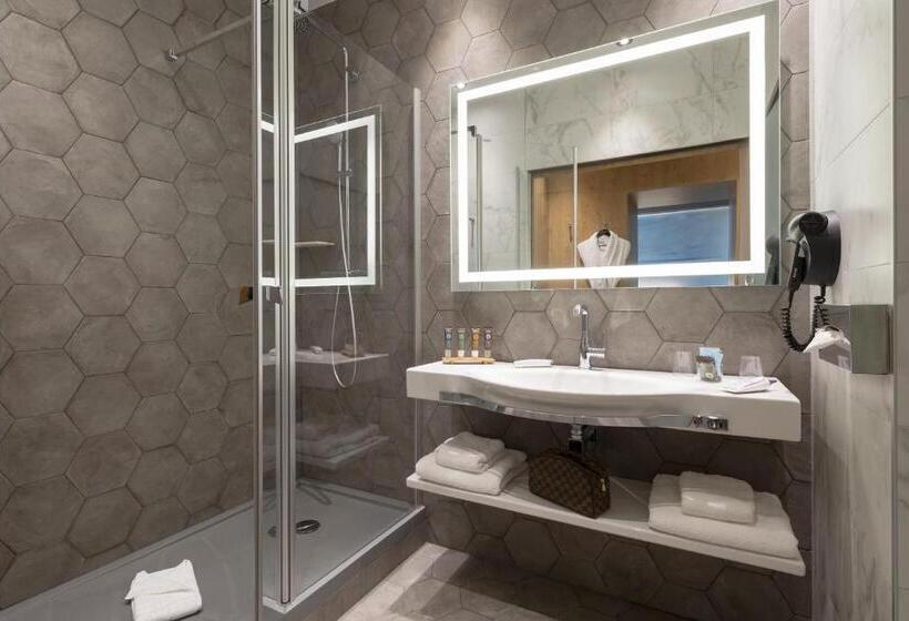 Полулюкс, Novotel Saint Brieuc Centre Gare