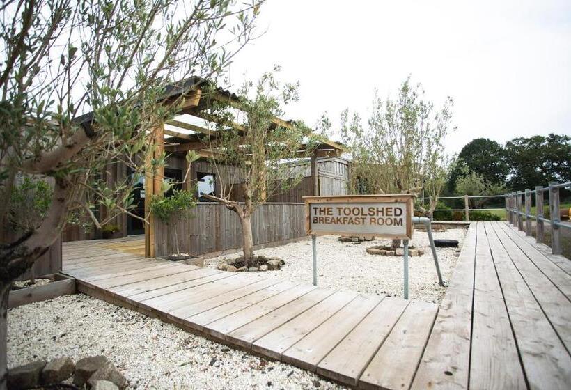 إستديو عائلى, Owen House Farm