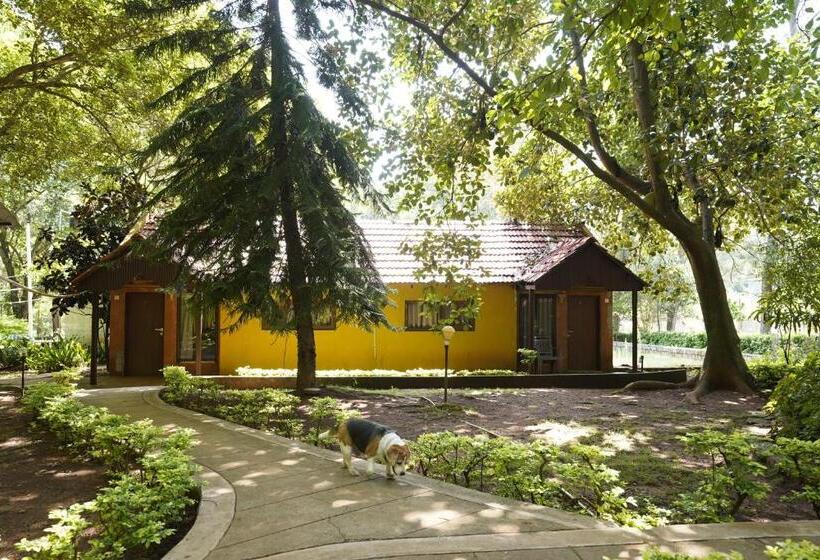 スタンダードルーム, Zeenath Taj Gardens