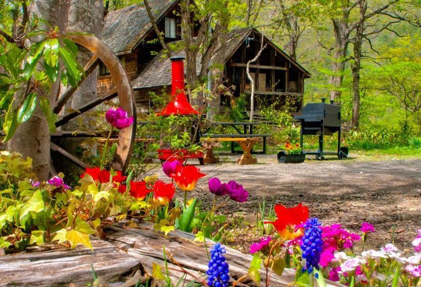 Семейный Номер, Panketo Lodge & Yoga Studio