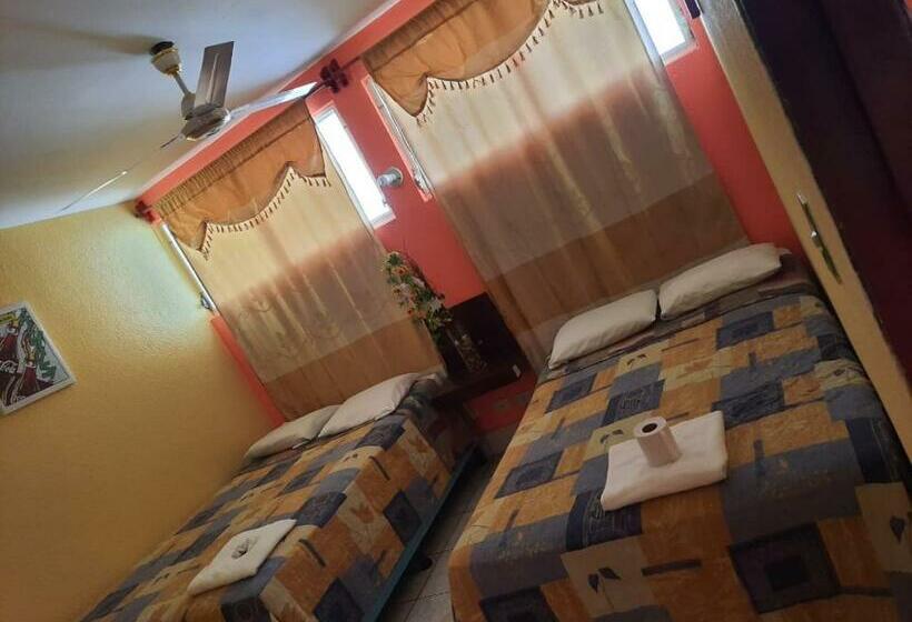 اتاق استاندارد, Green Monkey Hostel