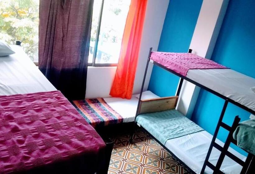 ルームシェアのワンベッド, Havana Hostel Cali & Dance School
