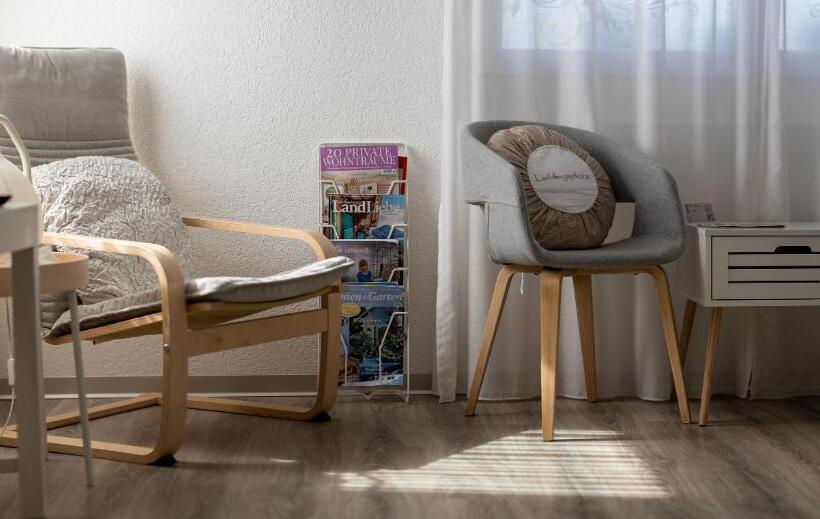 Студия Стандарт, Studio Living..