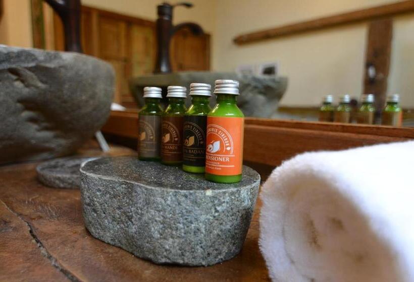 Номер Стандарт, Desa Alamanis Resort Villa