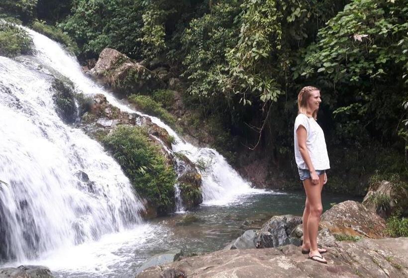 Семейный Номер, Rainforest Yasmin