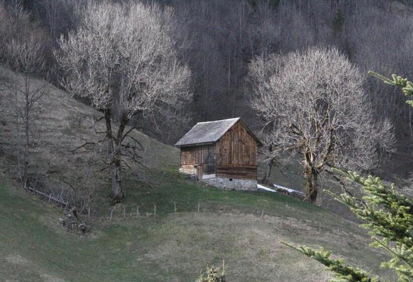 家庭工作室, Alpen Suites Brandnertal