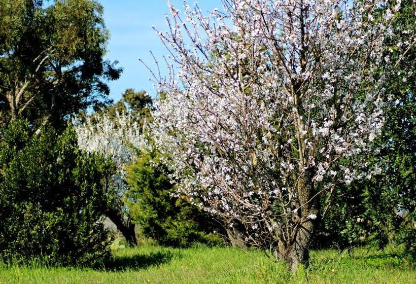 Standard room with outdoor bath, Mater Bed & Food Riserva Naturale Di Torre Guaceto
