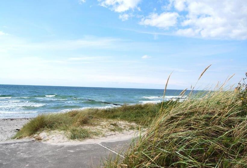Номер Стандарт, Hiddensee Hitthim