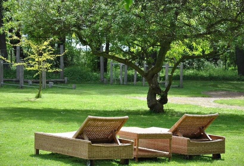 Апартаменты 1 Спальня, Lieblingsplatz Bohlendorf Rugen