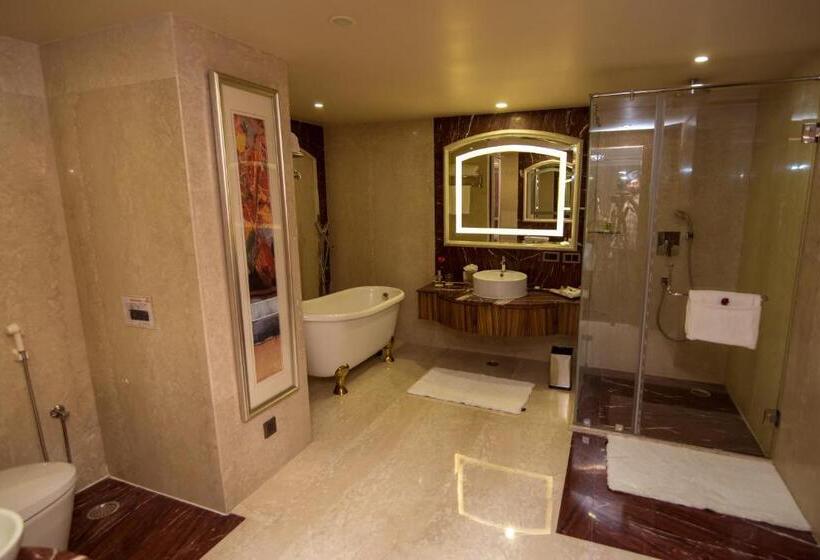 豪华套房, Shakun Hotels And Resorts