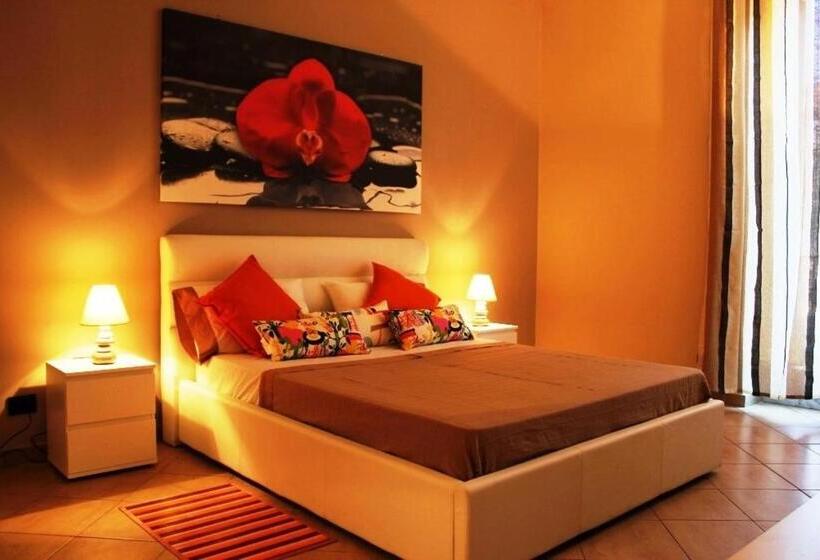 سوییت لوکس, Tortugas B&b