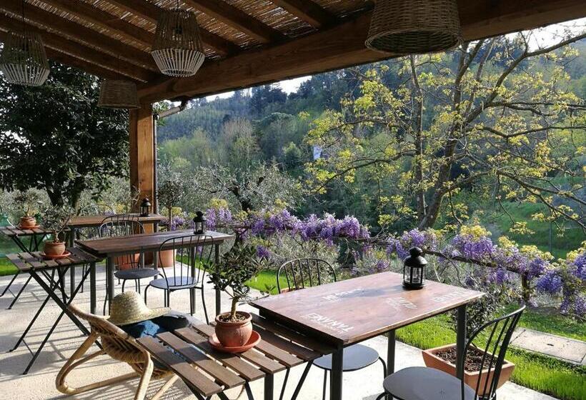 Номер Стандарт, Agriturismo Tananei
