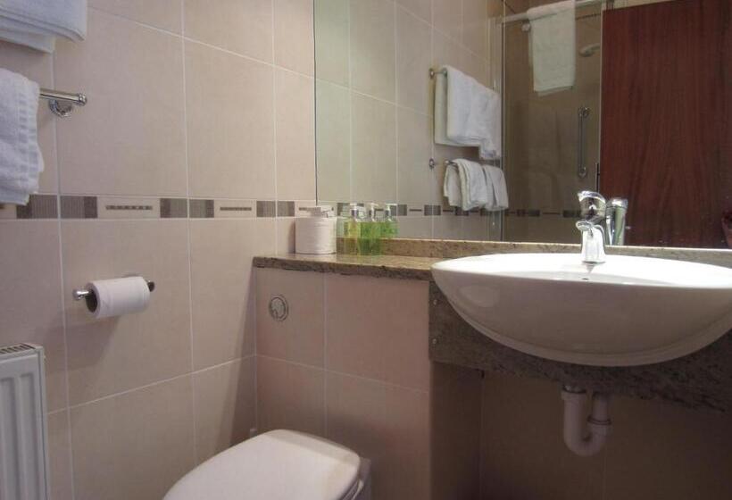 Номер Стандарт Индивидуальный, Gwrach Ynys Country Guest House