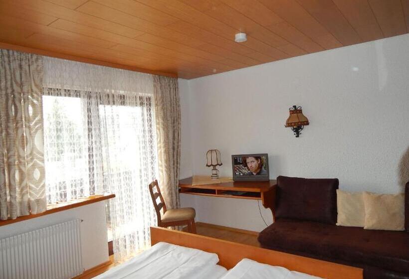 标准间, Hochschwarzwald Hof