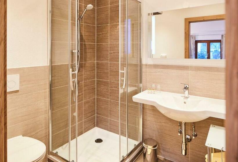 Апартаменты 1 Спальня, Tirolerhof   Appartementhaus