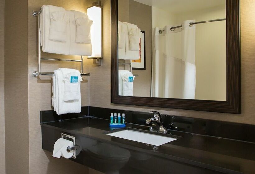 Номер Стандарт, Holiday Inn Express   Springfield Downtown, An Ihg