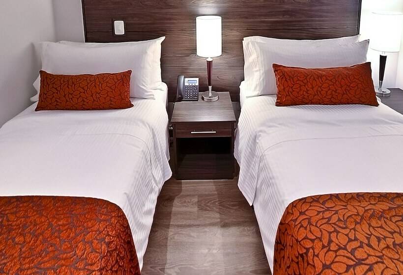 스탠다드 룸, Az Hotel