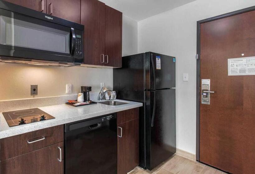 带大床的套房, Mainstay Suites Big Spring North I 20