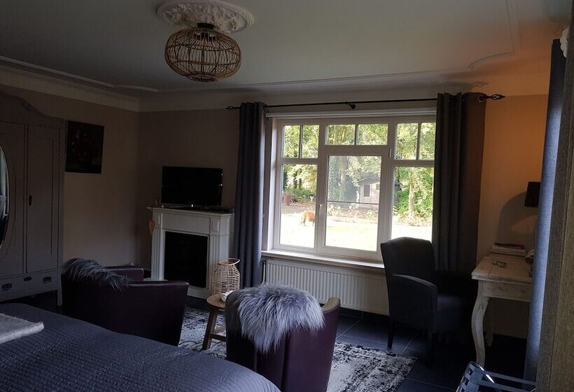 اتاق لوکس, Bed And Breakfast Mooi Achel