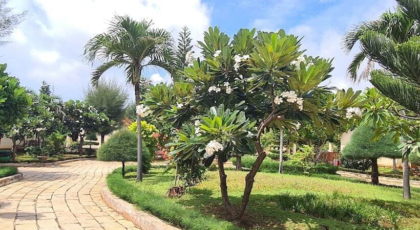اتاق لوکس با چشم‌انداز باغ, Hai Duong Intourco Resort, Vung Tau