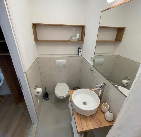 اتاق استاندارد یک نفره, Aurelia Rooms