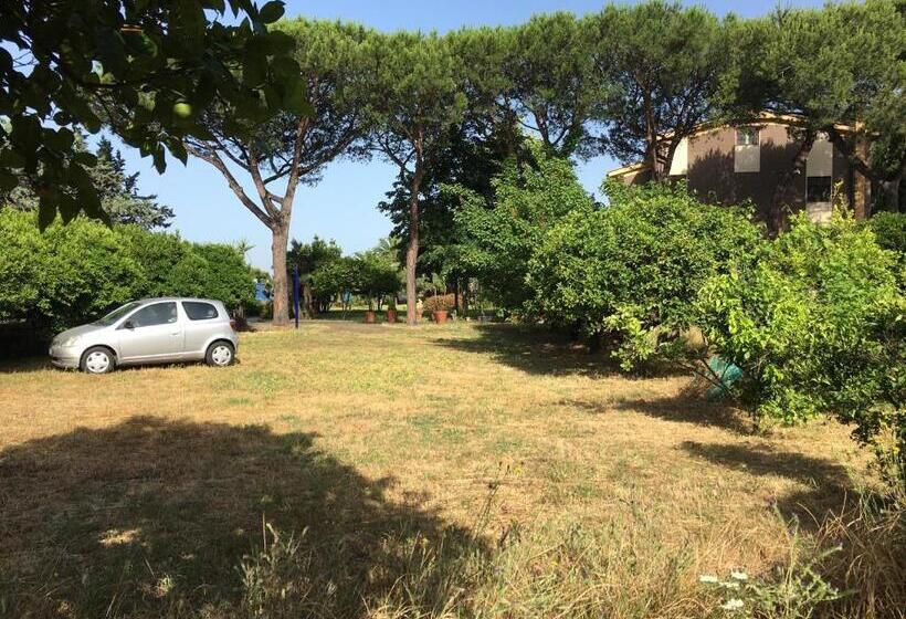 带泳池观景的豪华房, Villa Viuli