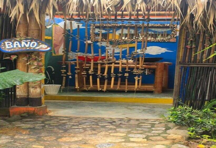 스탠다드 룸 공동 욕실, La Natura Hostel & Pool