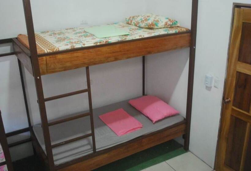공동 객실, Passifloras Hostel