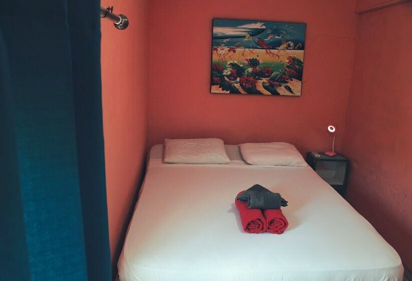 غرفة قياسية, Twin Fin Hostels