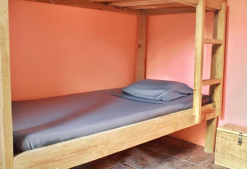 سرير فى غرفة مشتركه, Twin Fin Hostels