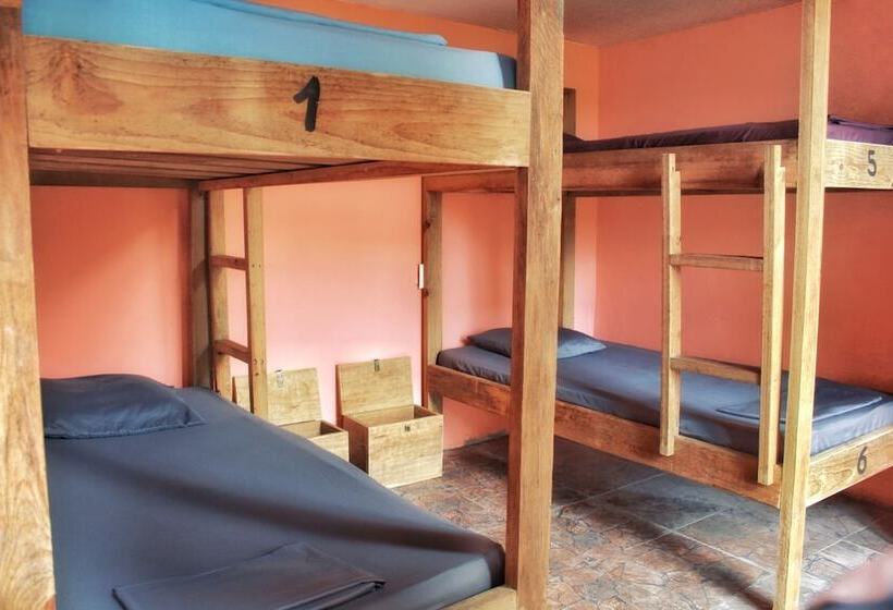 سرير فى غرفة مشتركه, Twin Fin Hostels