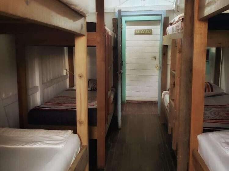 سرير فى غرفة مشتركه, Twin Fin Hostels