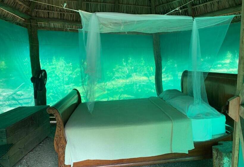 이코노미 룸, Mal Pais Surf Camp