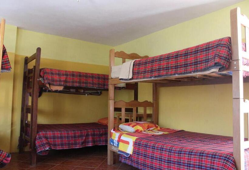 تختخواب در اتاق مشترک, Caroline Lodging